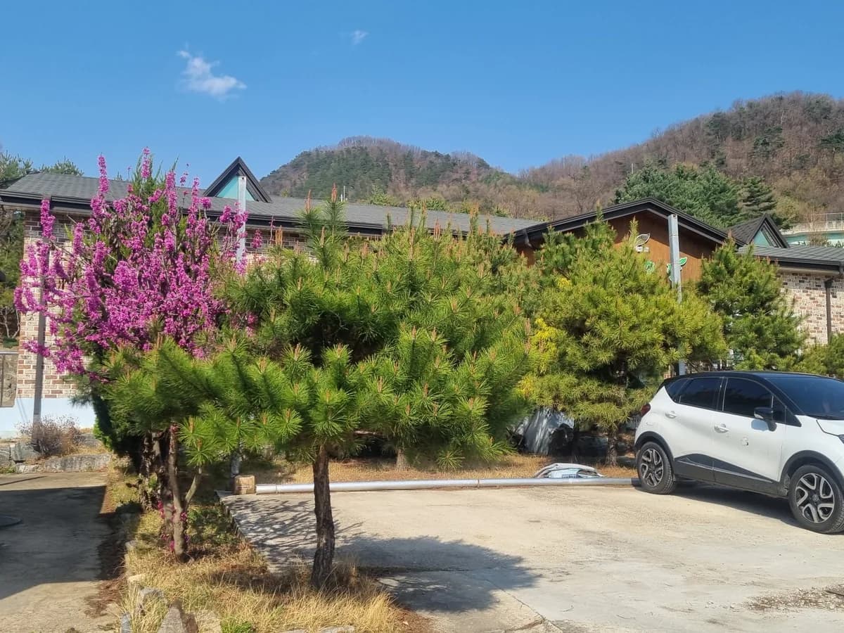 푸른초장요양원1 이미지 2