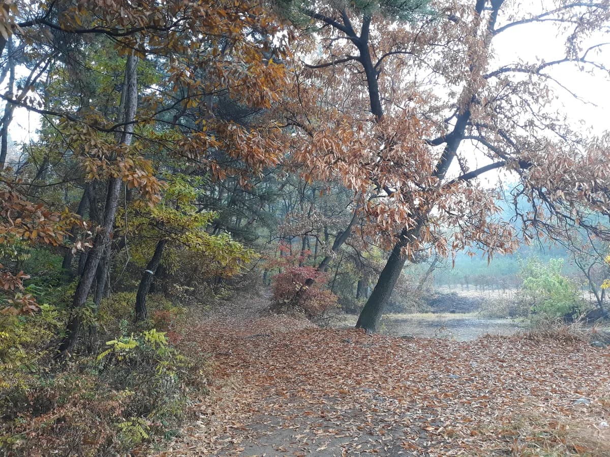 갈릴리노인요양공동생활가정 이미지 1