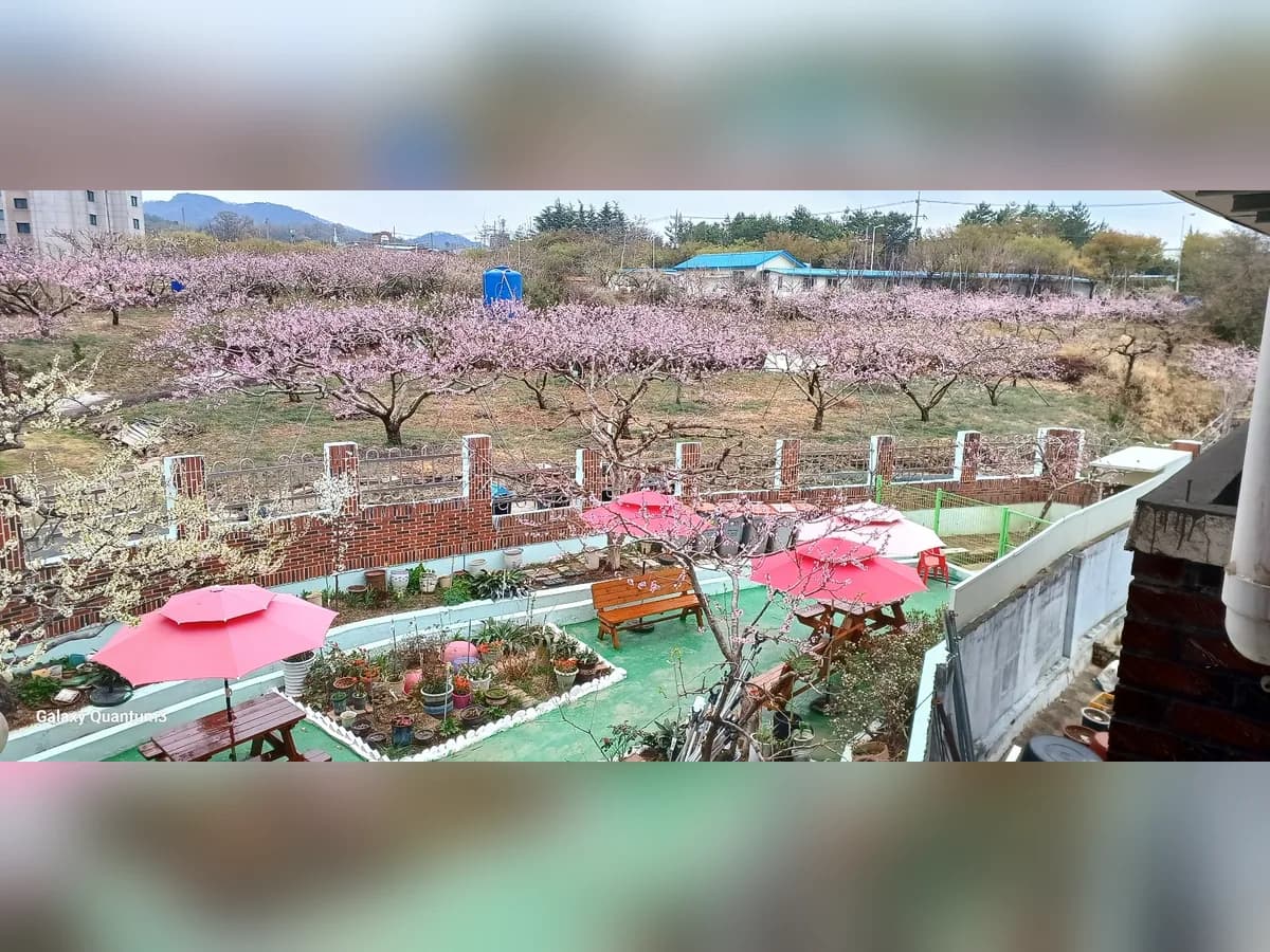 경산실버요양의집공동생활가정 이미지 1
