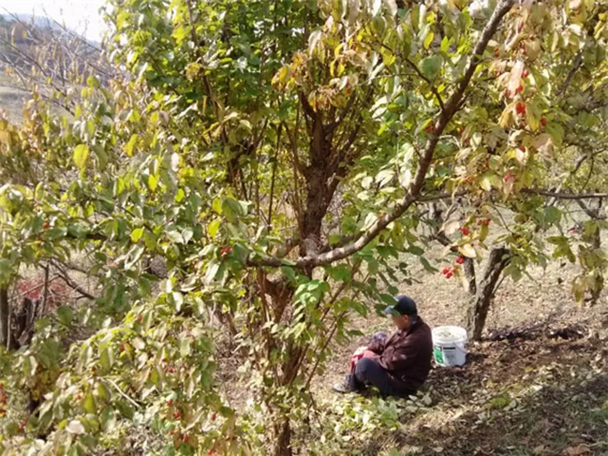 경산실버요양의집공동생활가정 이미지 5