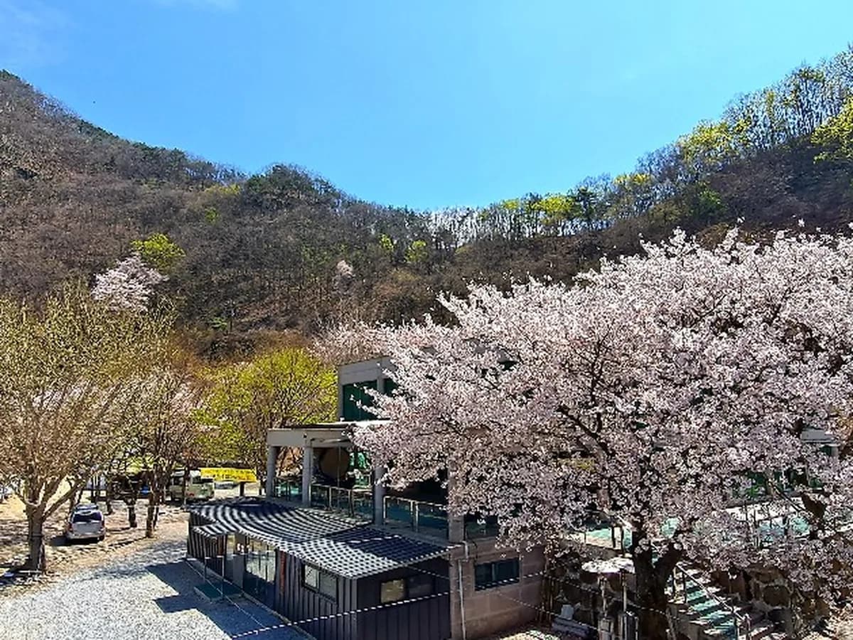 연꽃피는집노인요양원 이미지 2