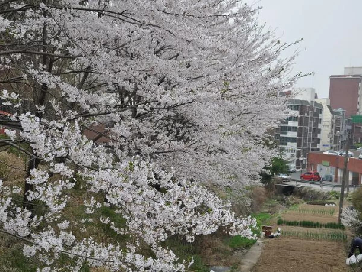 소답노인요양센터 이미지 7