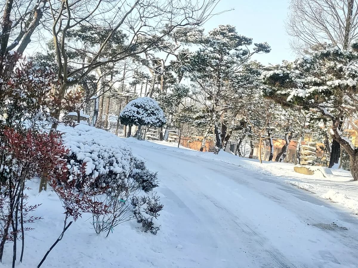 고창원광참살이요양원 이미지 2