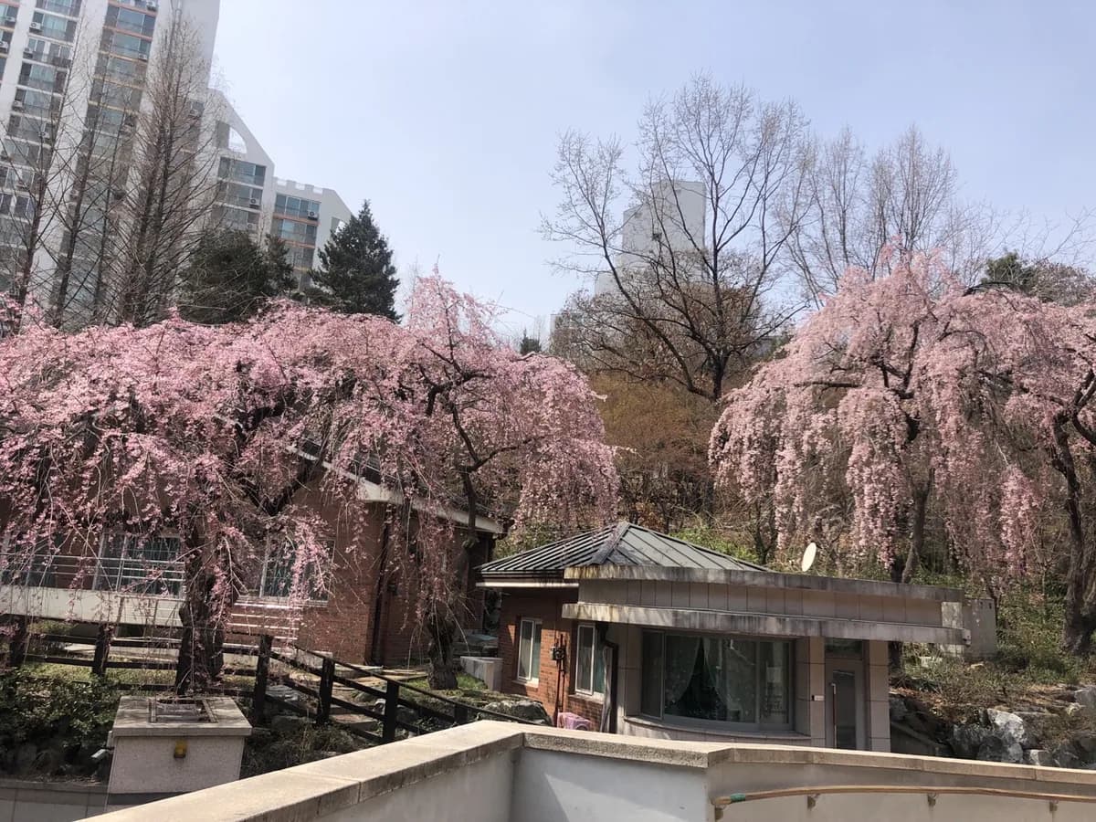 길음안나데이케어센터 이미지 1