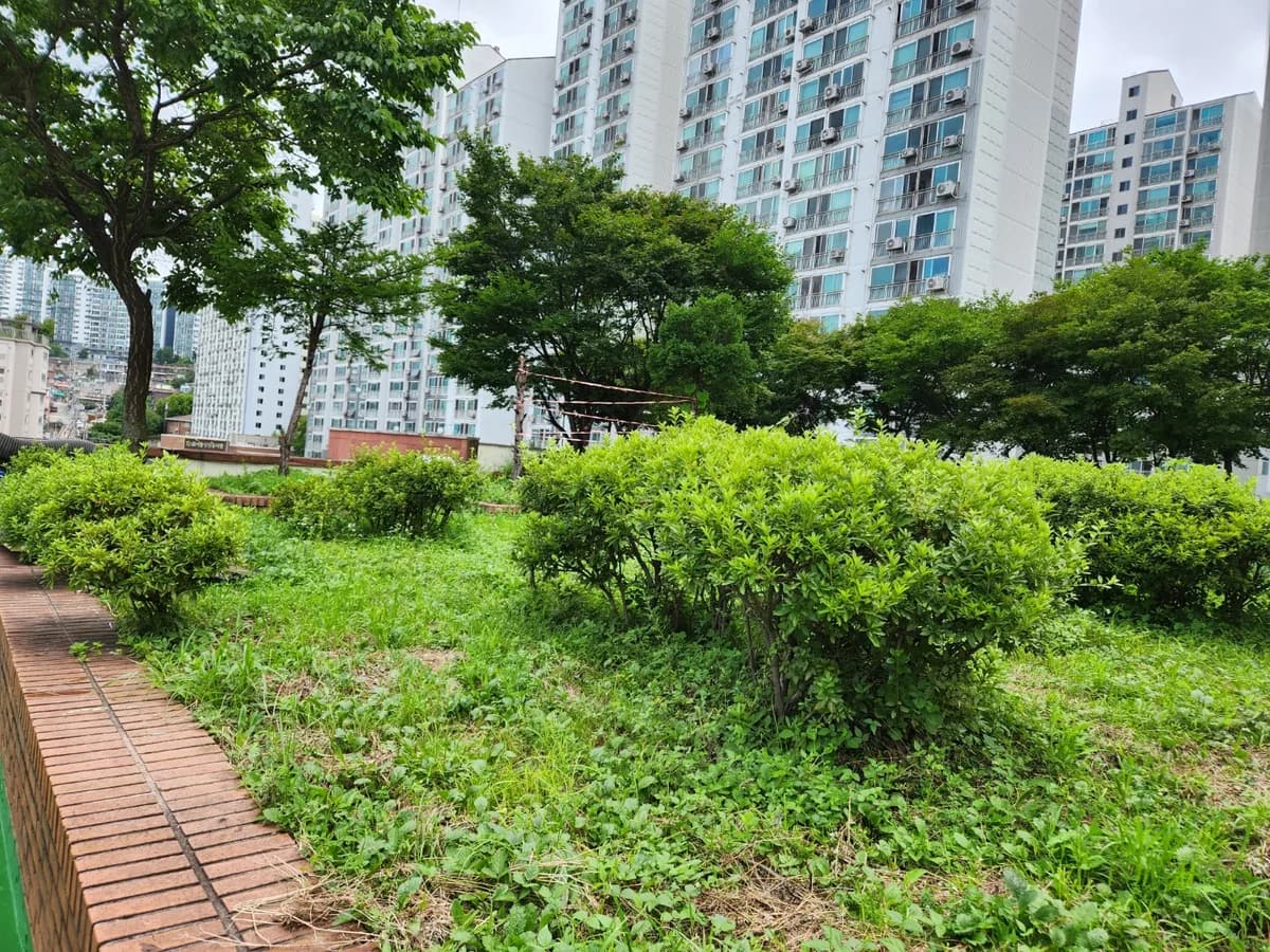 더숲데이케어센터 이미지 1