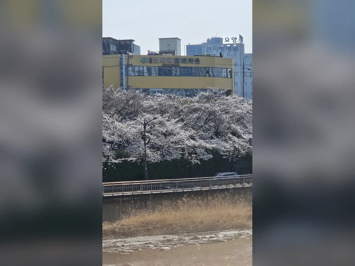 성림효사랑주간보호센터 이미지 3