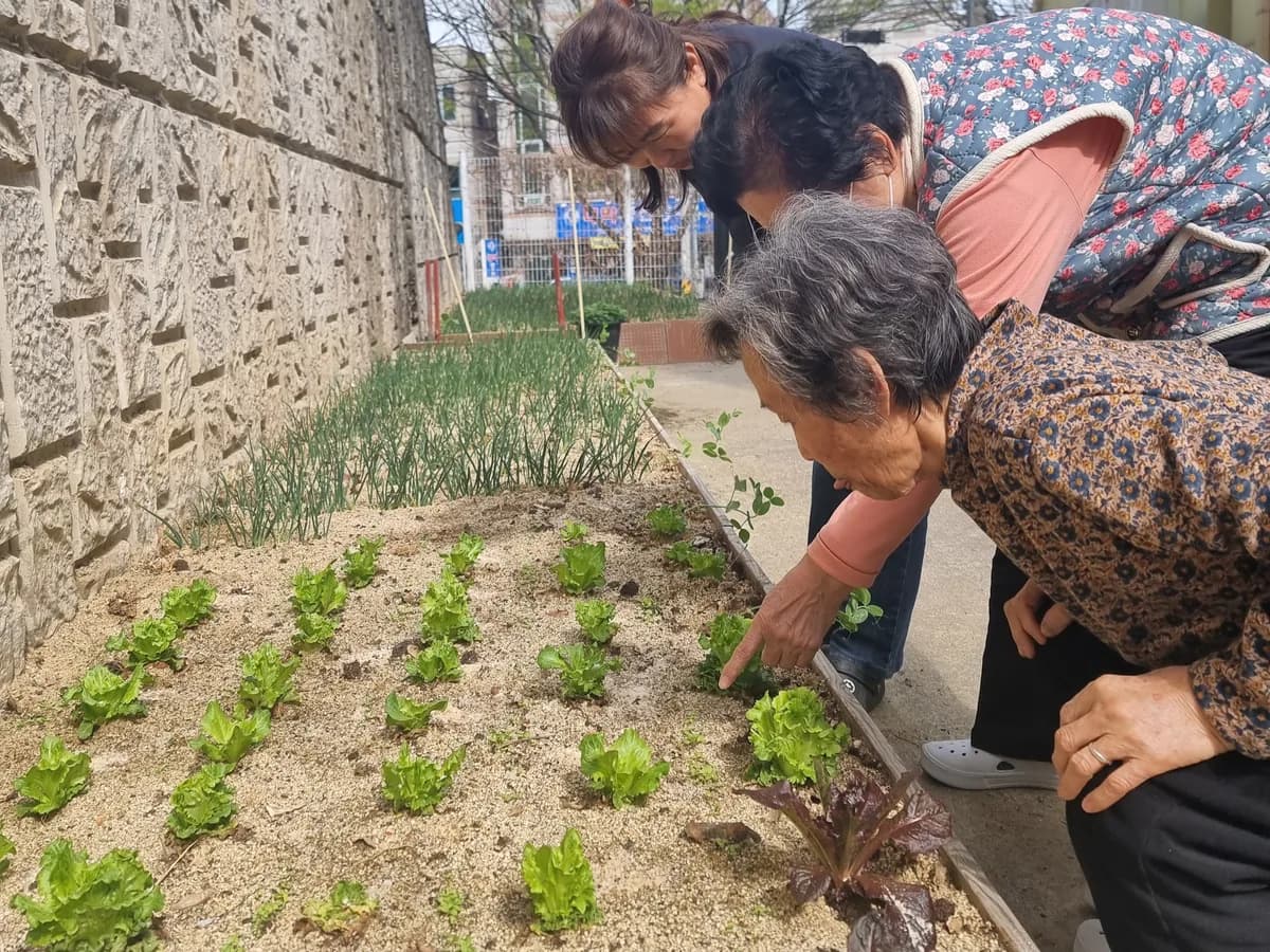 보성주간보호센터 이미지 2