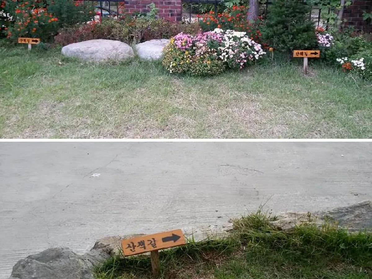 한솔주야간보호센터 이미지 4