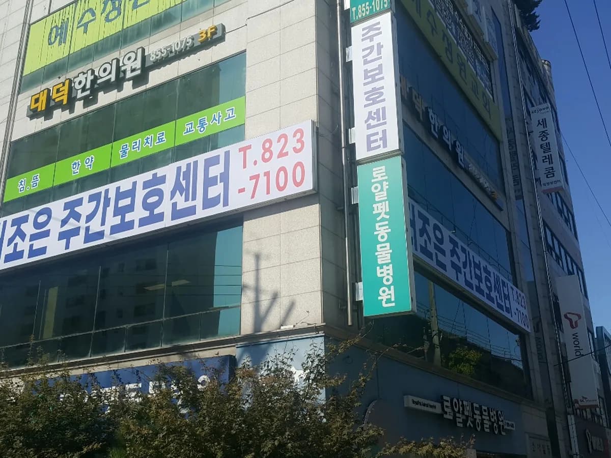 더조은주간보호 이미지 2