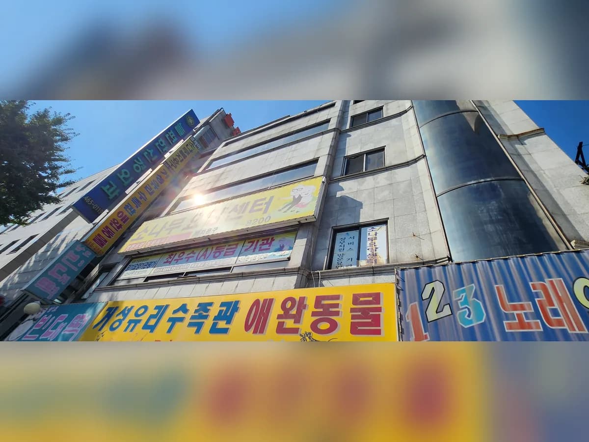 소나무요양센터 이미지 4