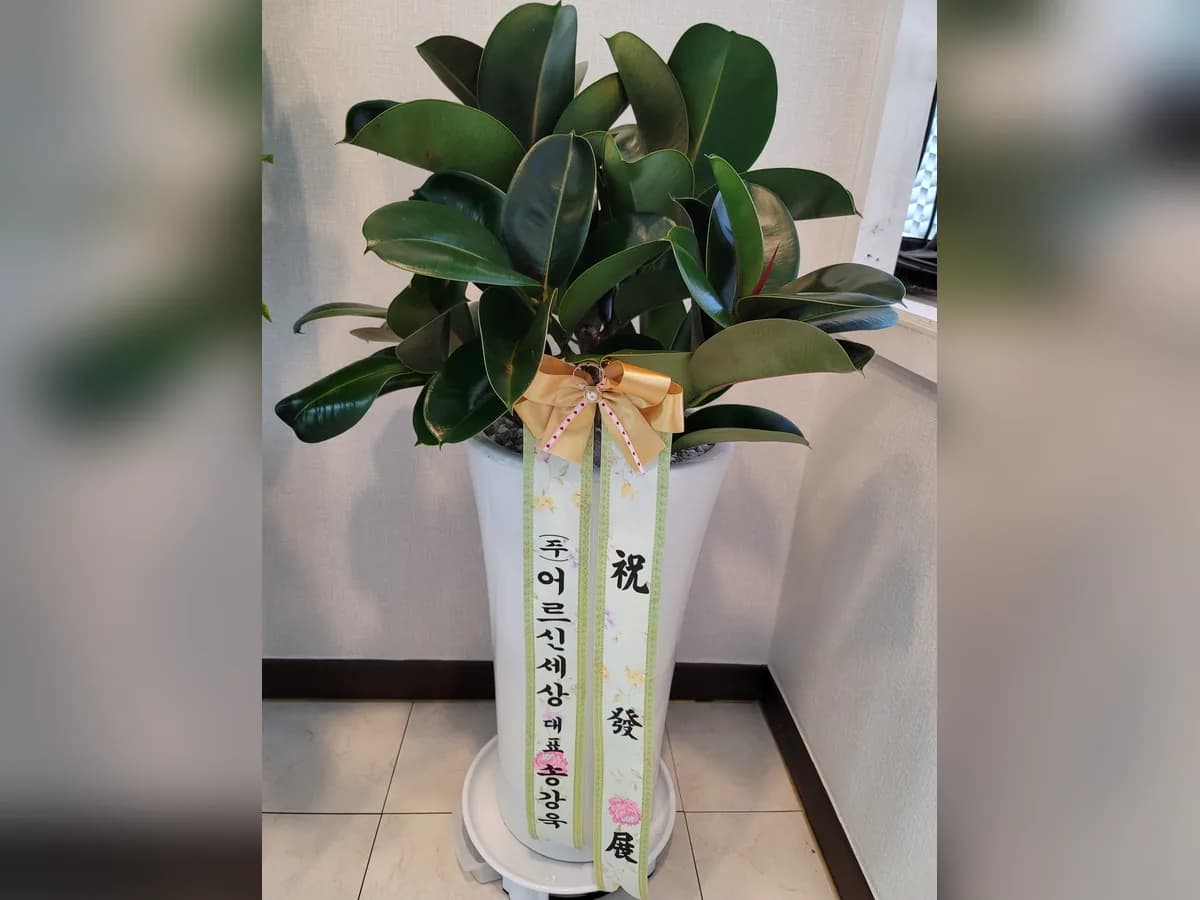 케어네이션 하안센터 이미지 5