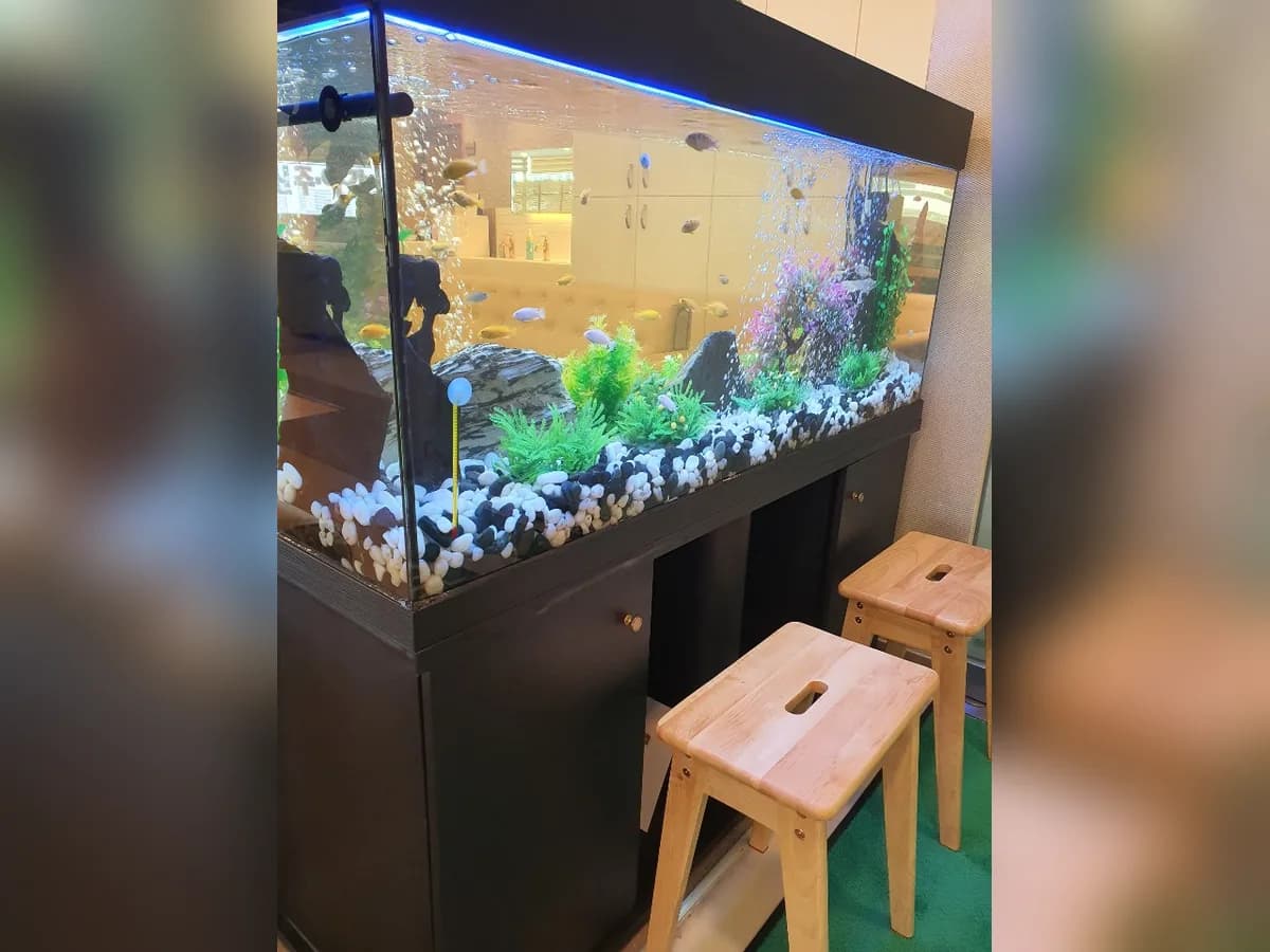 백석어르신주간보호센터 이미지 3