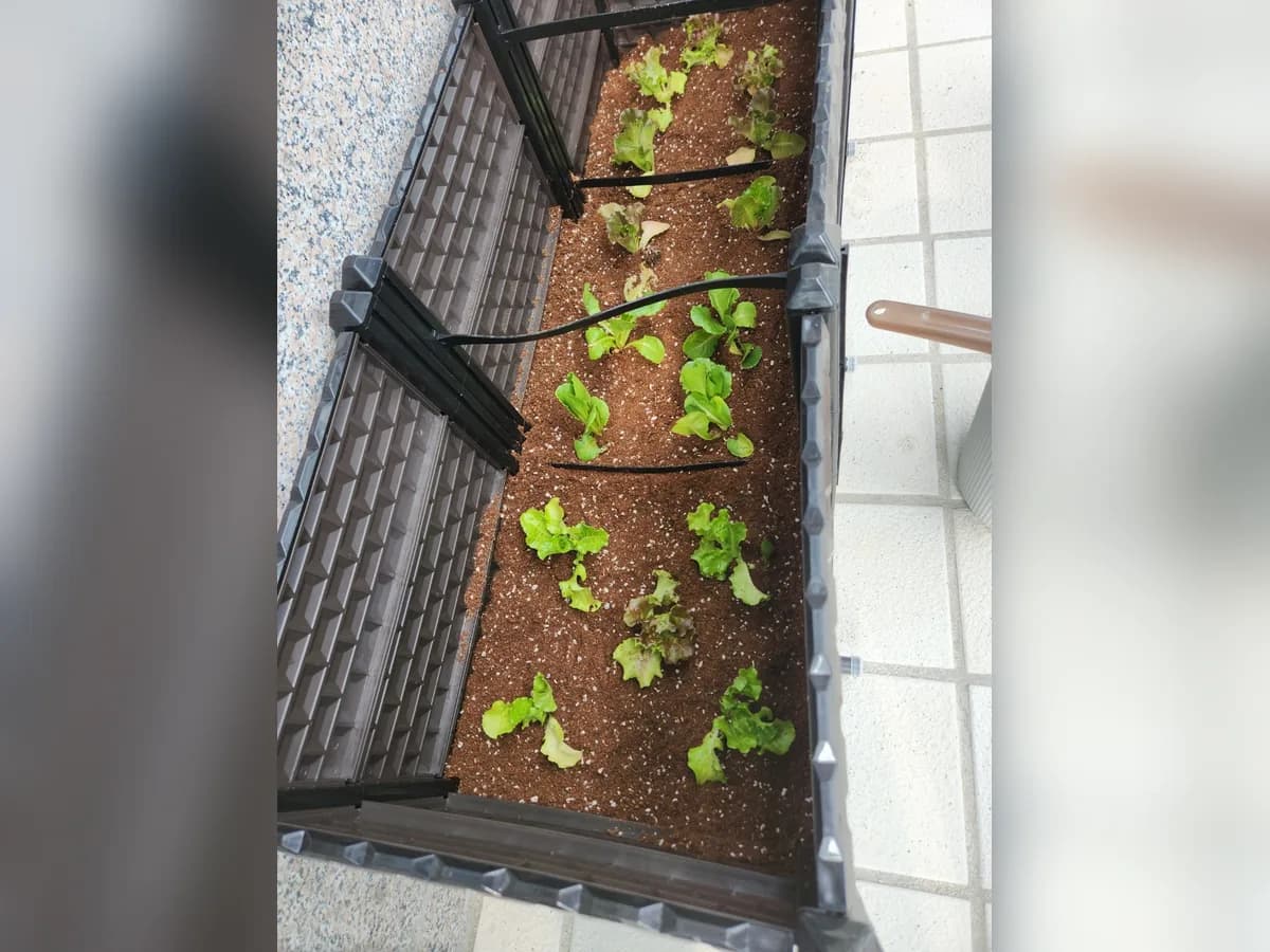 하남관심주간보호센터 이미지 1