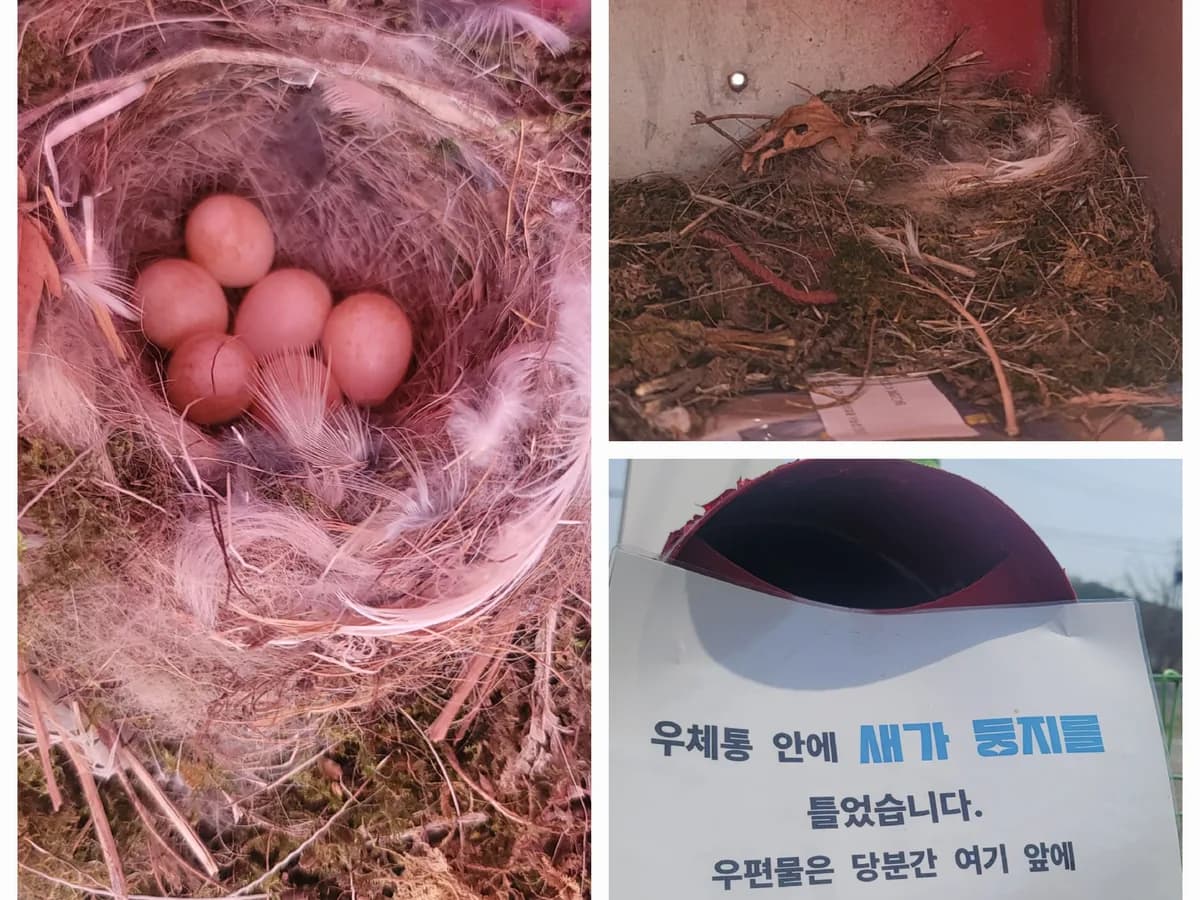 파주치매전담형주야간보호센터 이미지 2