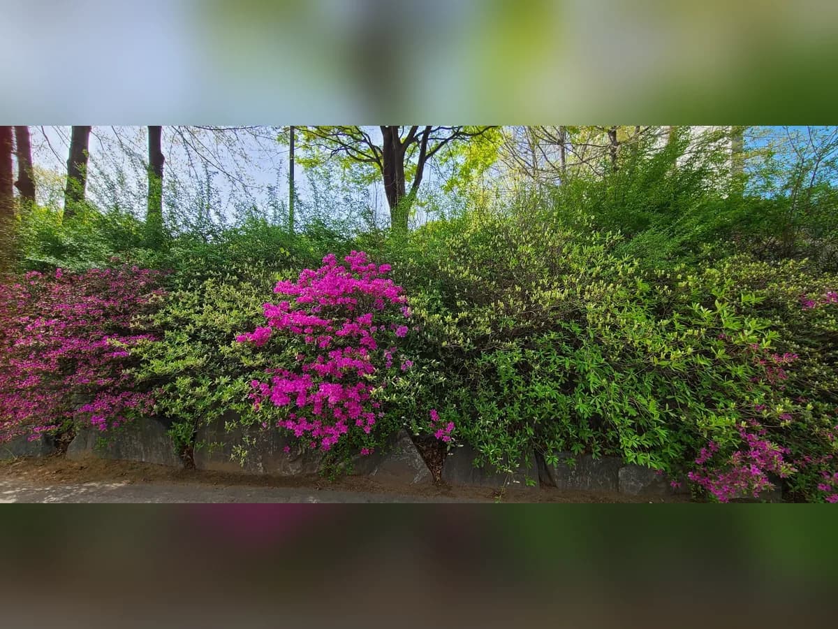 천안재활365주간보호 이미지 7