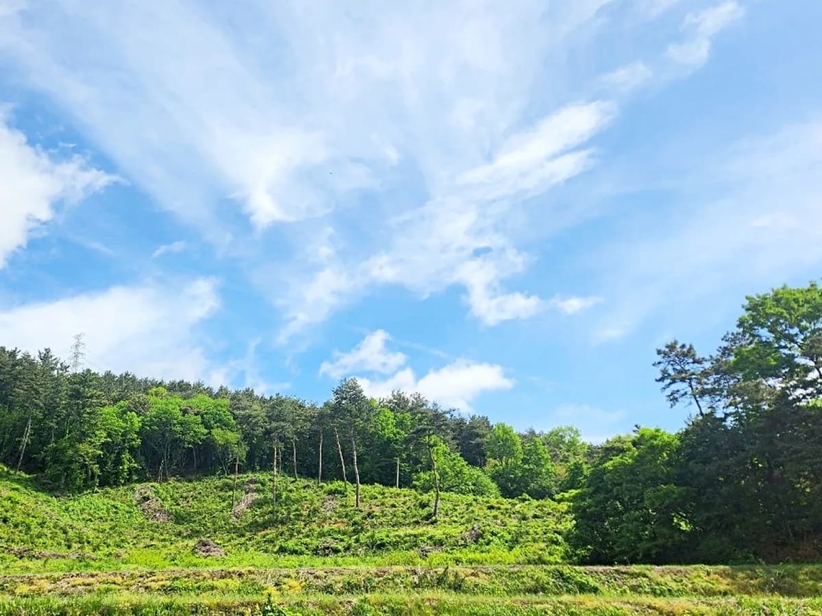 서산해바라기재가복지센터 이미지 6