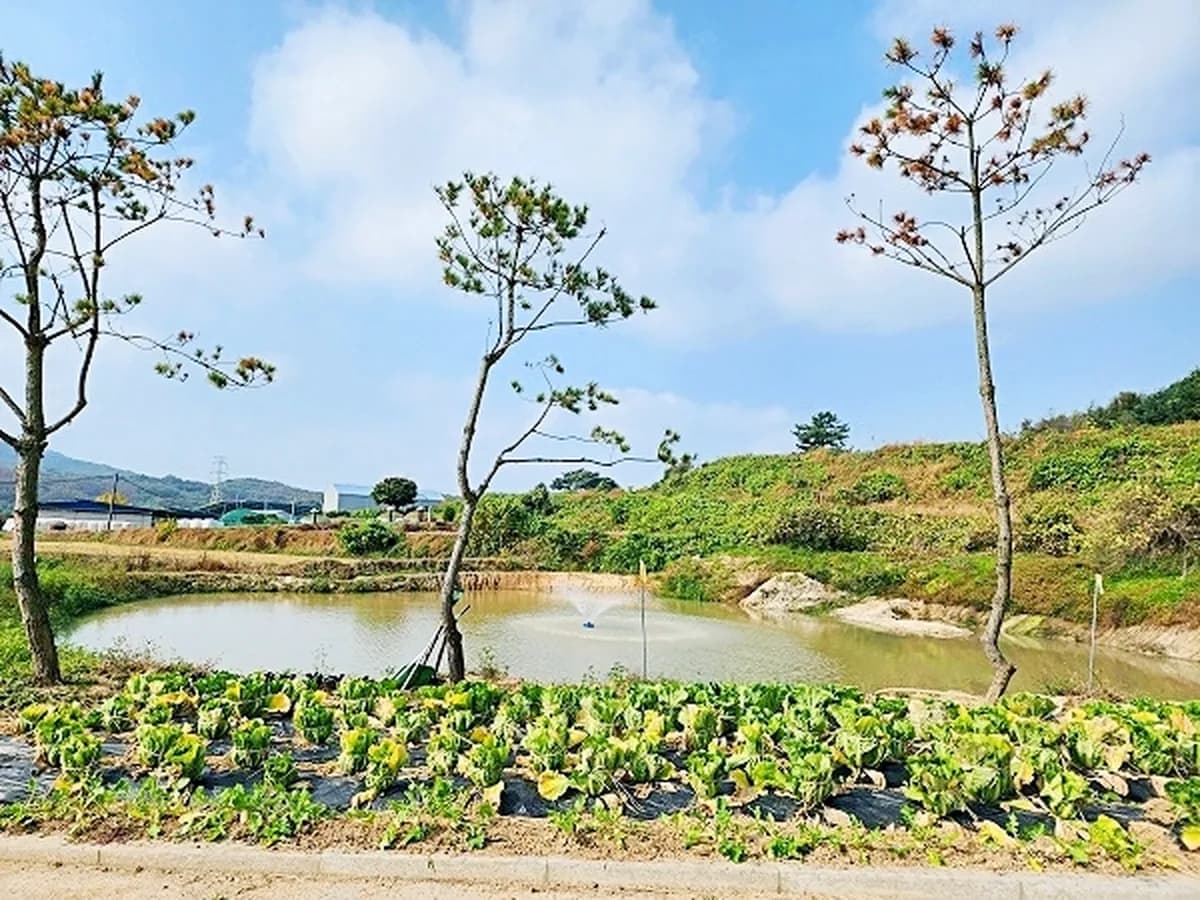 서산해바라기재가복지센터 이미지 7
