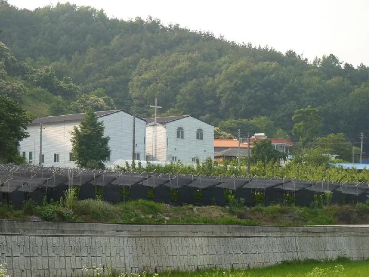 세종도덕노인복지센터 이미지 5