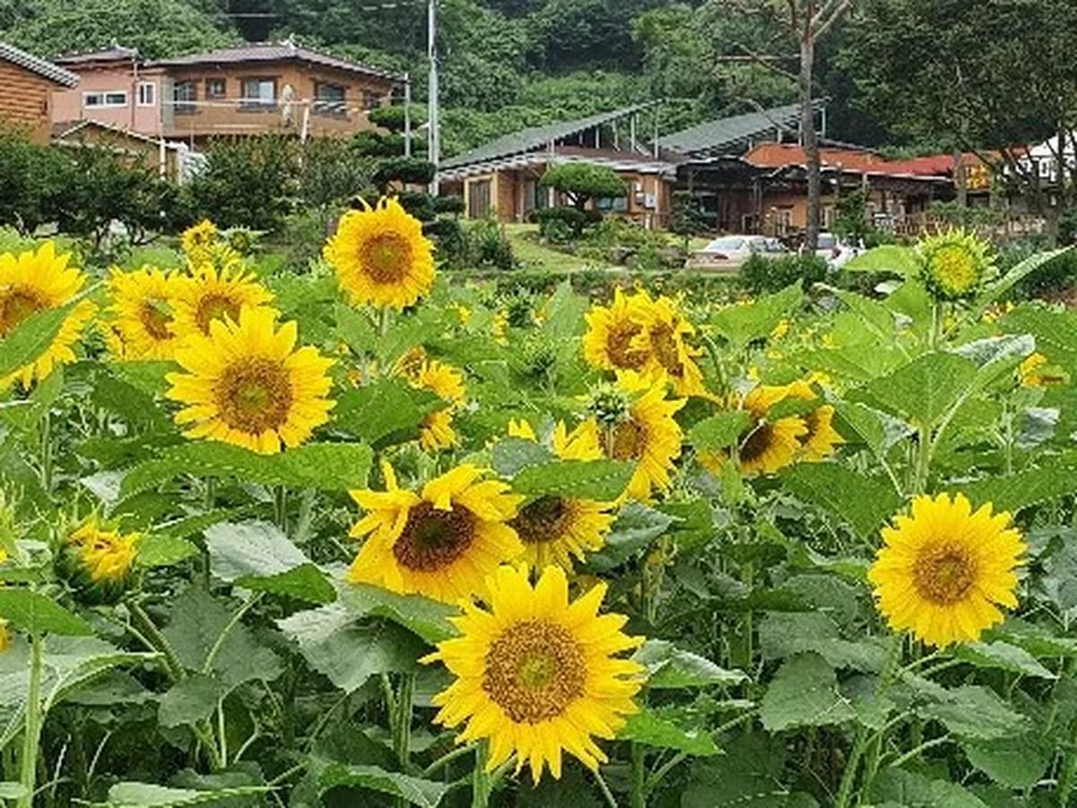 사랑마을요양원 이미지 6