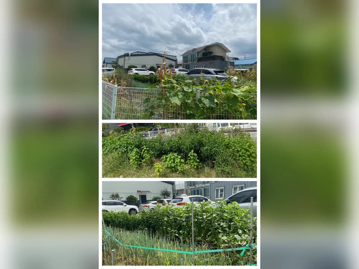 9988노인주간보호전문센터 이미지 4