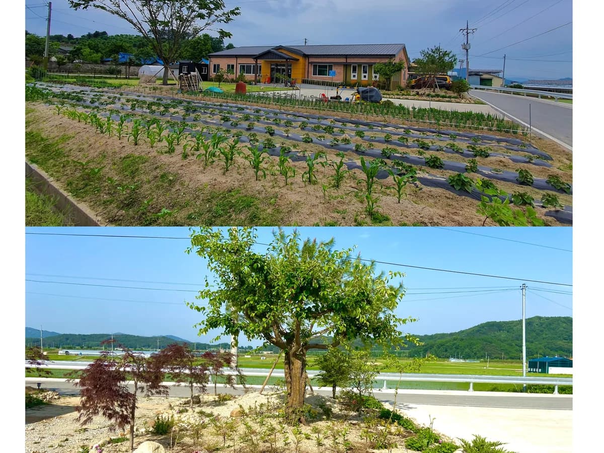 민들레사랑복지센터 이미지 1