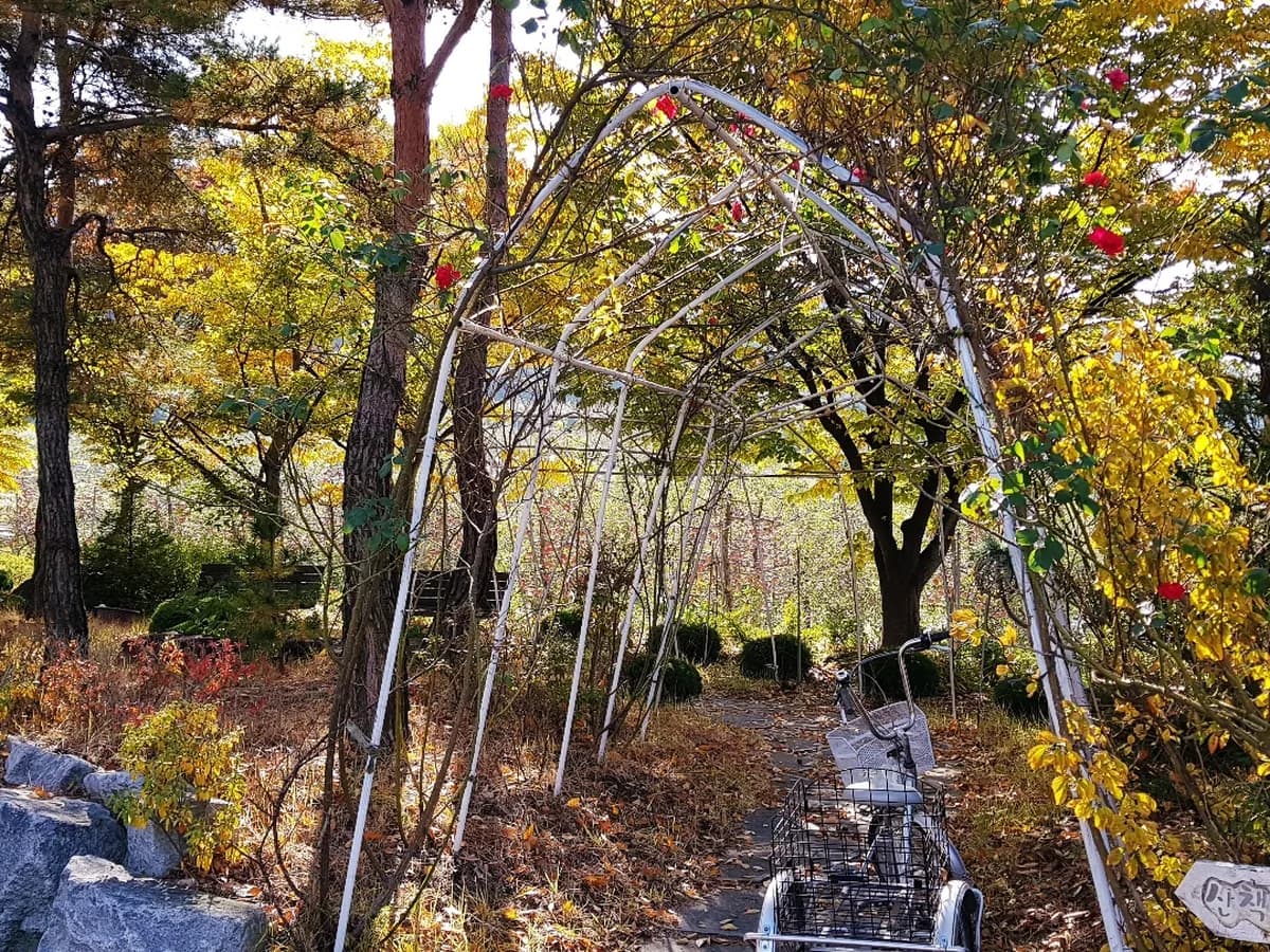 작은자재가노인복지센터 이미지 4