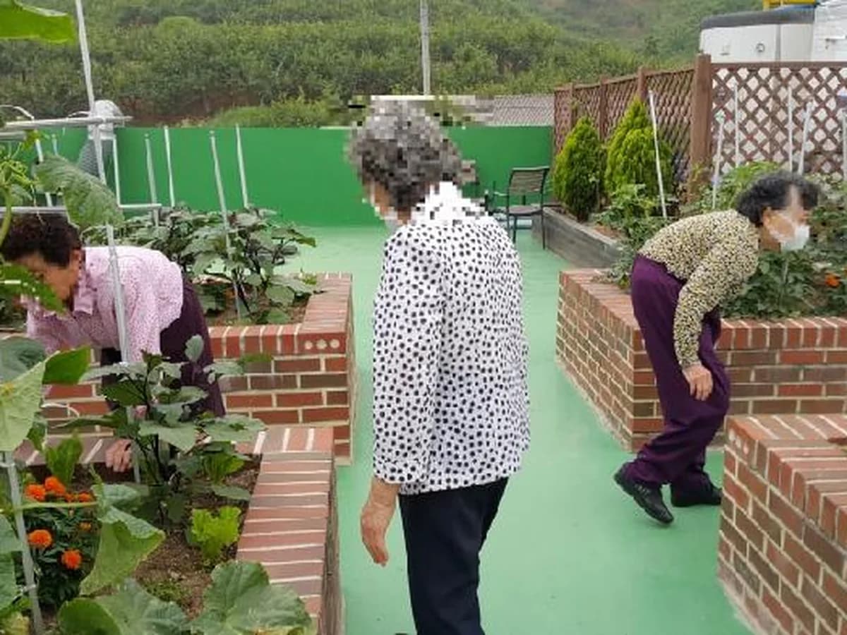 효능원노인통합지원센터 이미지 1