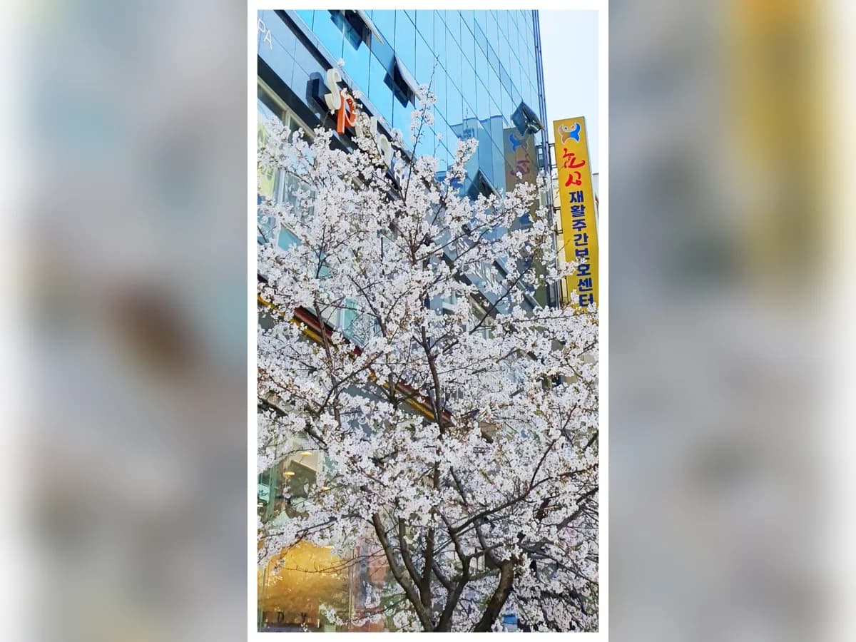 효심재활주간보호센터 이미지 2