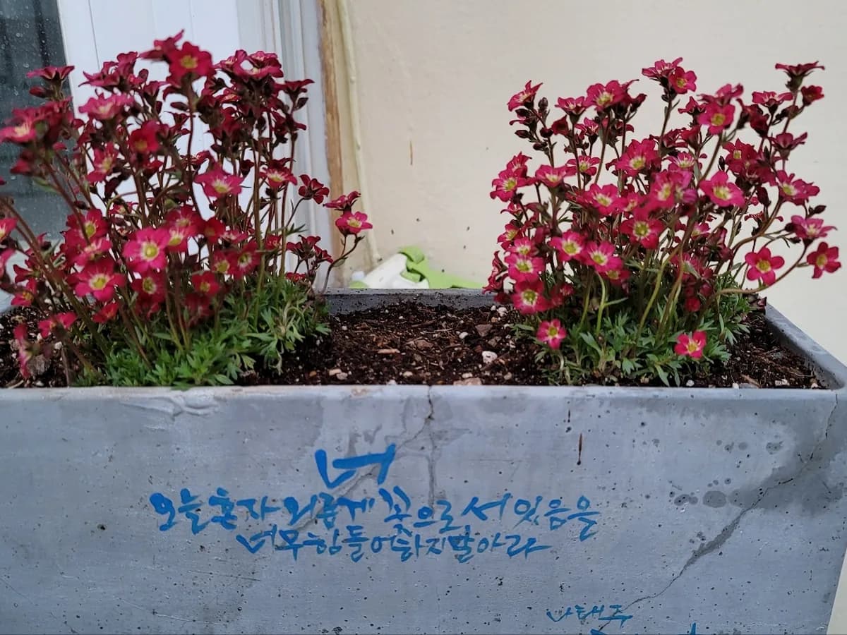 명동노인복지센터 이미지 2