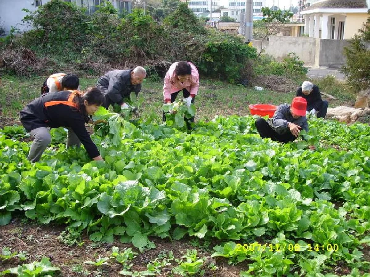 성산원광소규모요양시설 이미지 4