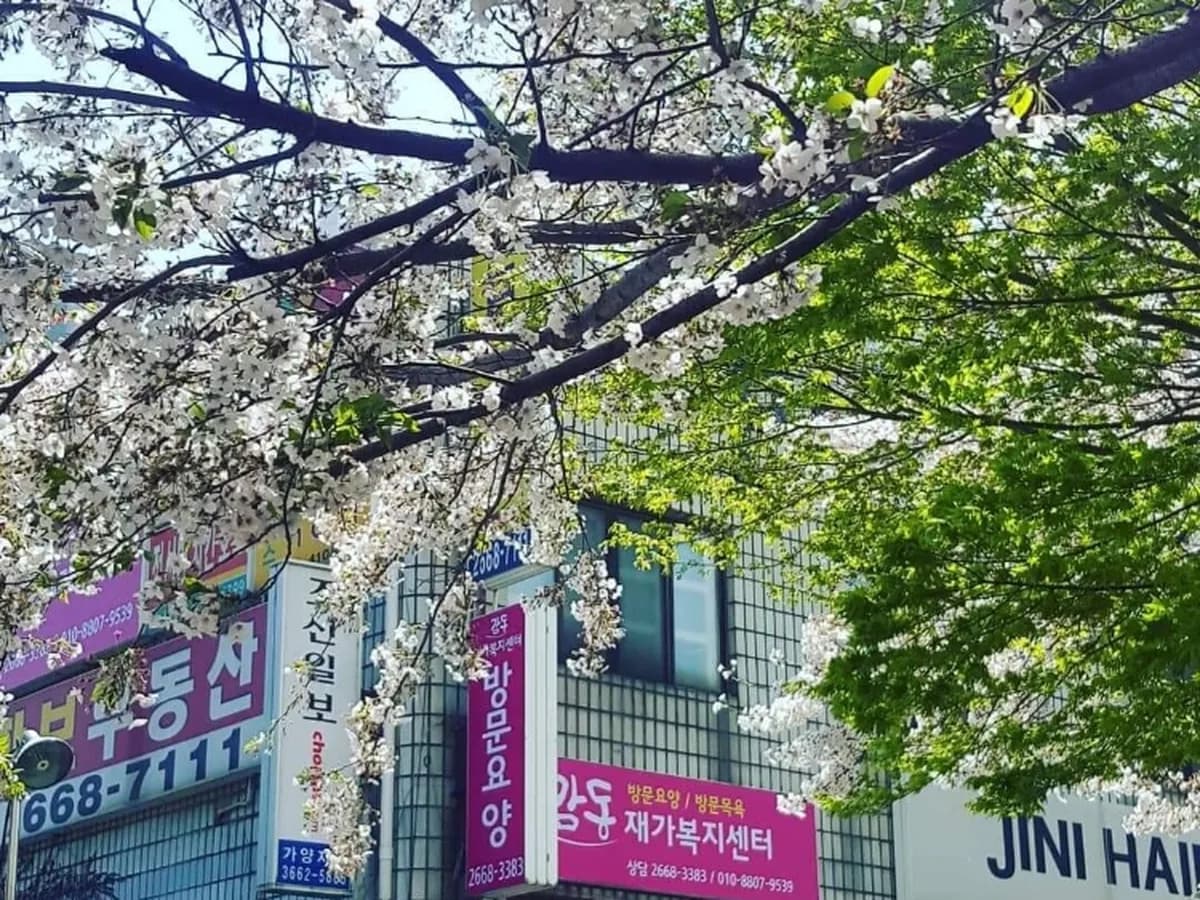 감동재가복지센터 이미지 2