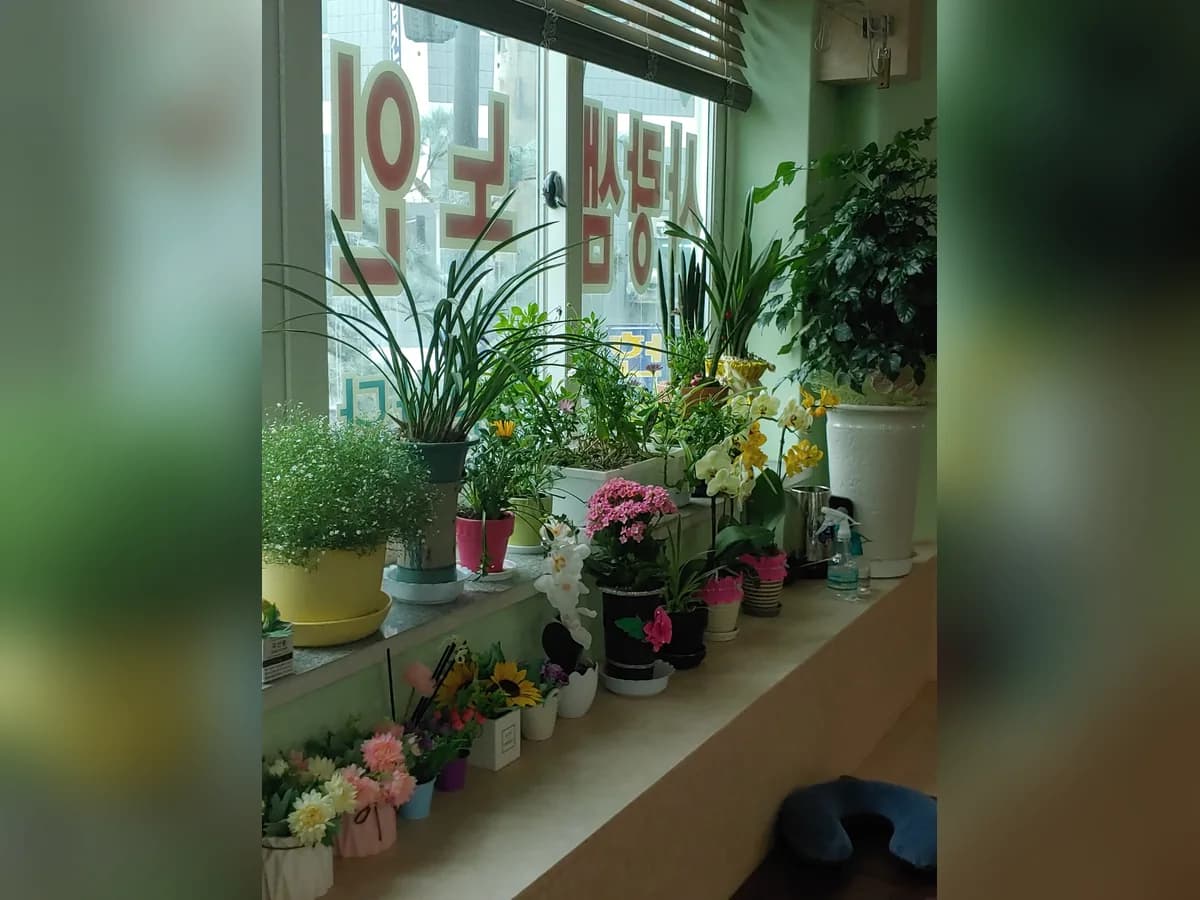 사랑샘 재가노인복지센터 이미지 1