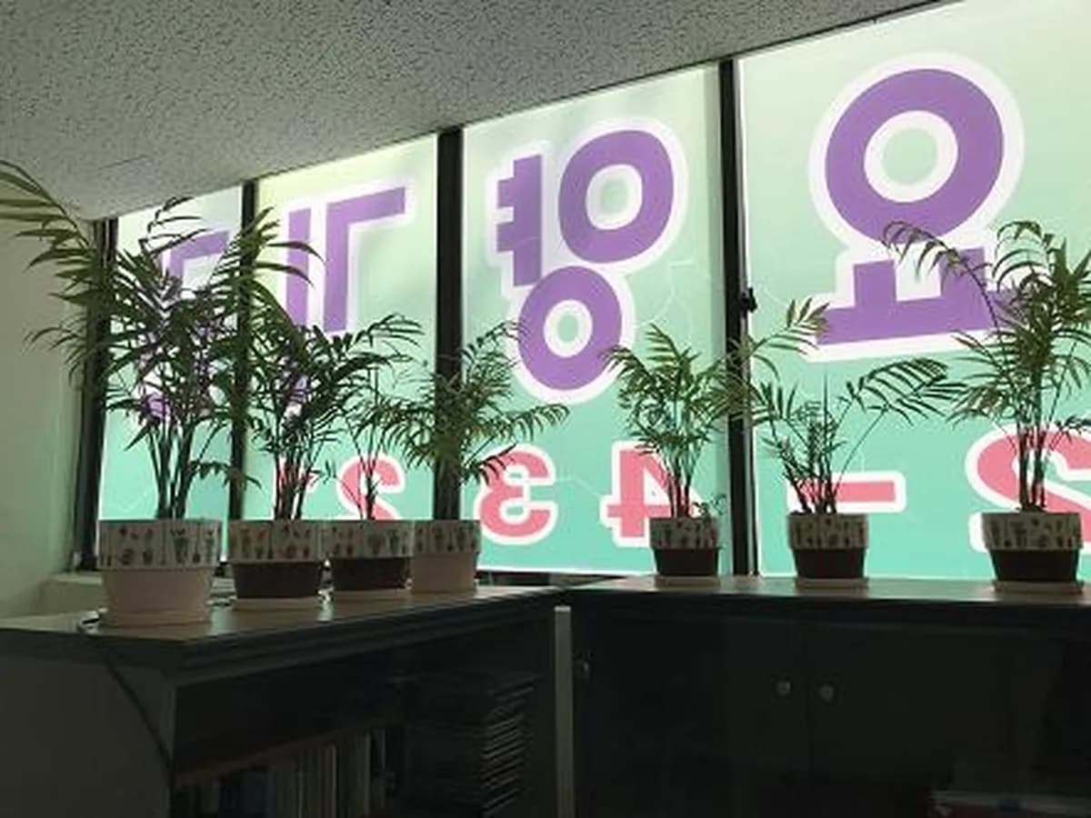 빛둥지재가장기요양기관 이미지 6