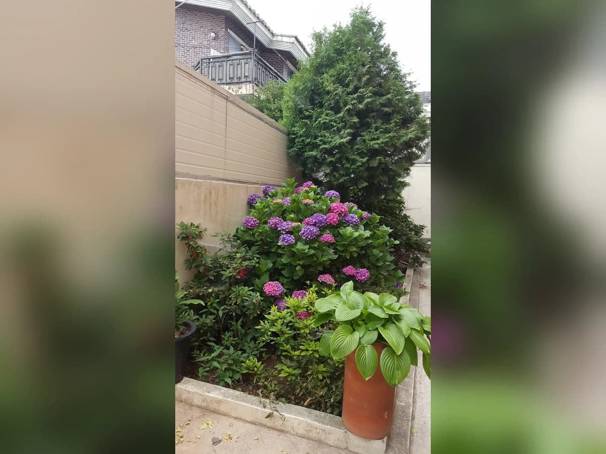 보듬재가노인복지센터 이미지 6