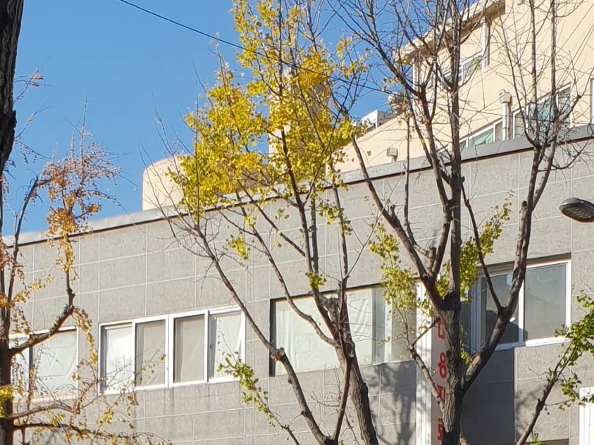경기재가노인복지센터 이미지 3