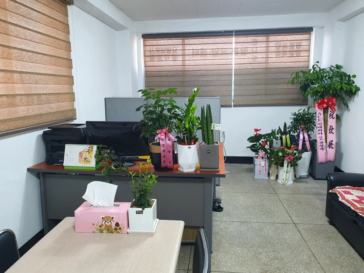 큰나무재가요양센터 이미지 1