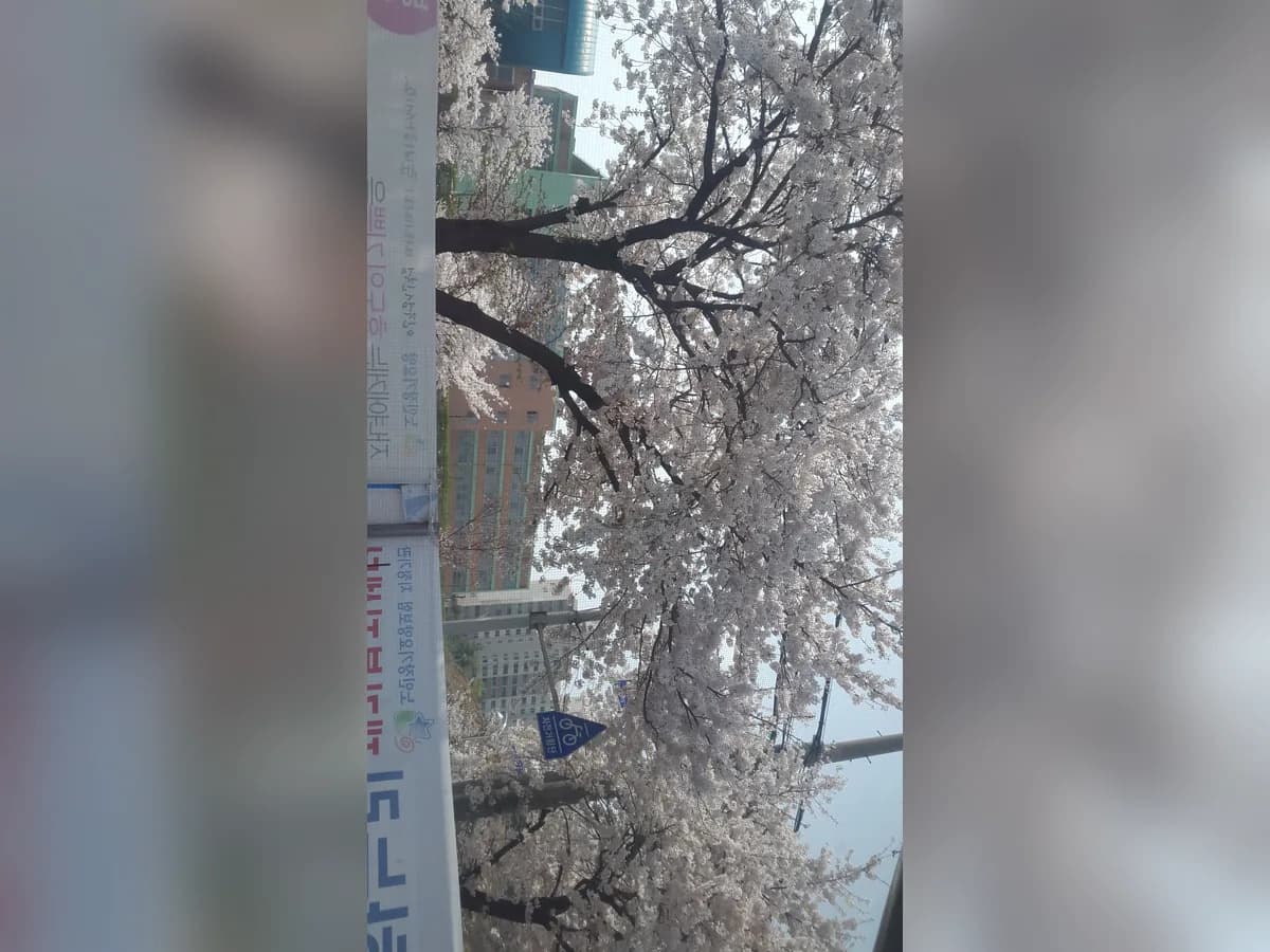 하누리재가복지센터 이미지 5