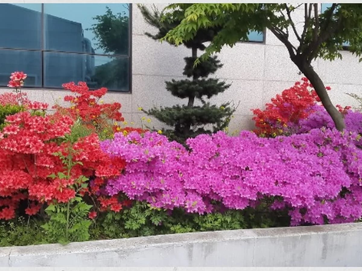 당진방문요양센터 이미지 1