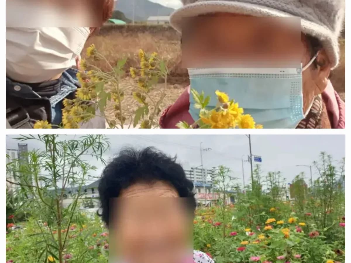 섬김노인복지센터 이미지 5