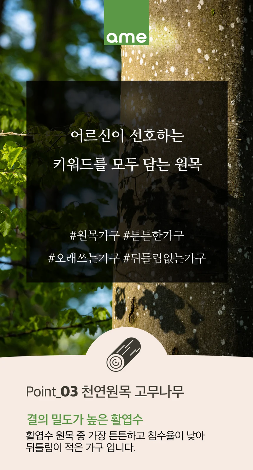 T03030060001 상세 이미지 4