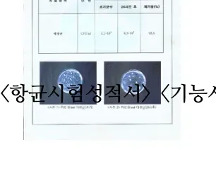항균시험성적서