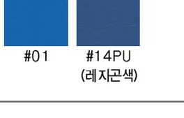 Cushion Color — #01, #14PU(레지곤색)