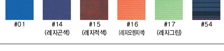Cushion Color — #01, #14 레지곤색, #15 레지적색, #16 레지오렌지색, #17 레지그린, #54