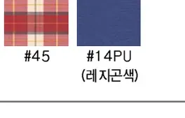 Cushion Color — #45, #14PU(레지곤색)