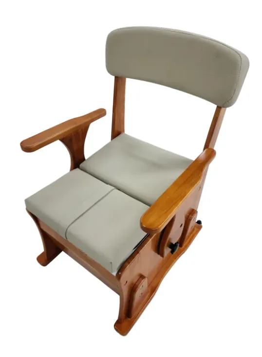 이동변기 NT-CT100 제품 사진